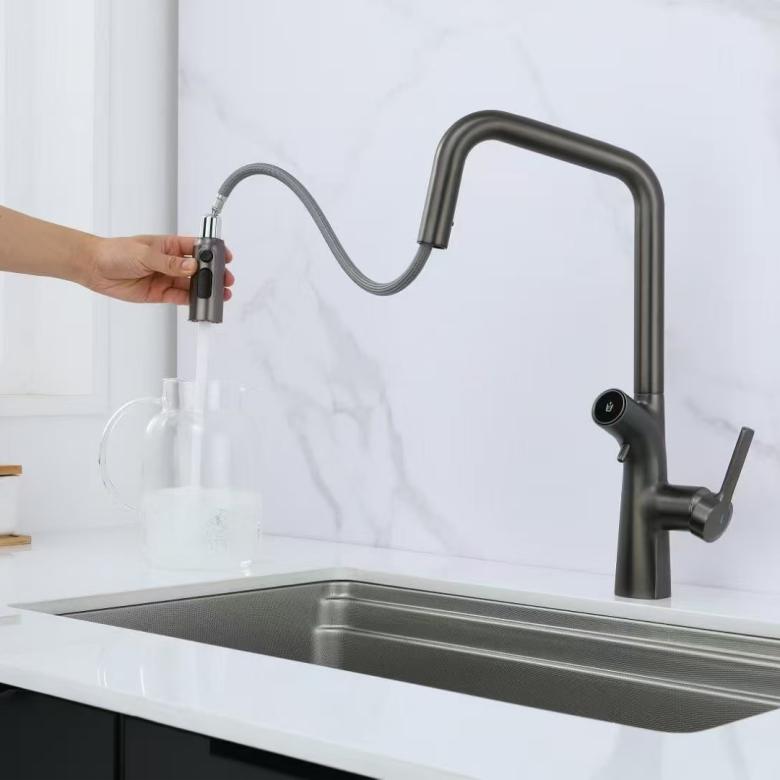 Digital Display Pull-Out Faucet with Built-in Water Purifier